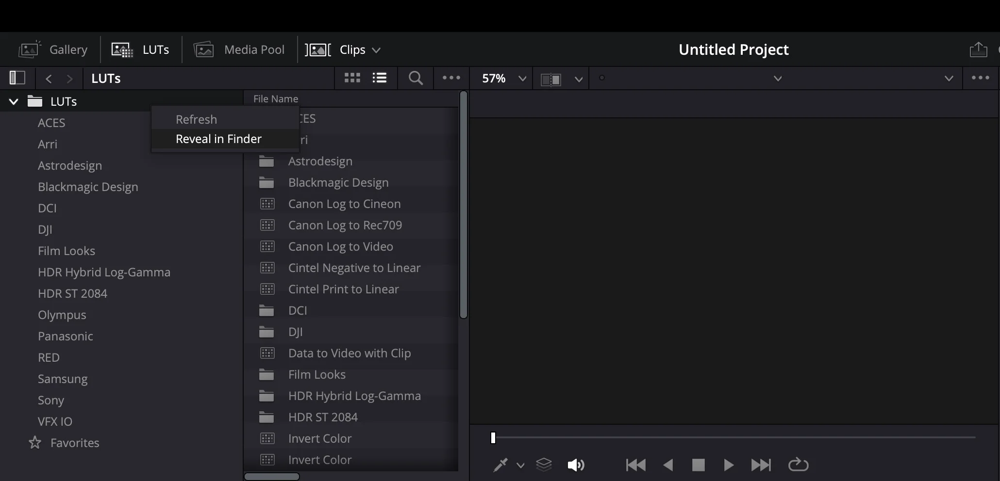 DaVinci Resolve LUT panel
