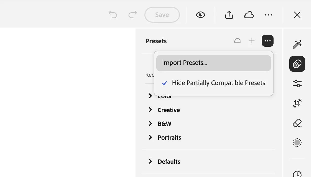 Lightroom Web presets panel with import option