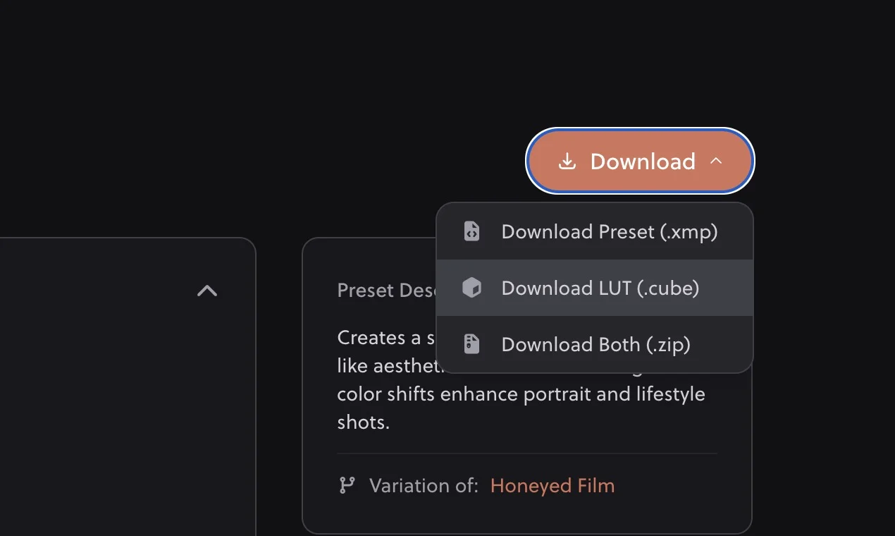 LUT download option on preset card